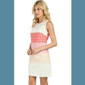 Gorgeous embroidered organza shift dress. EUC!