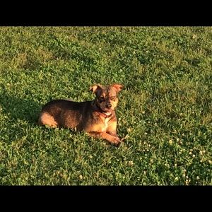 Meet your Posher, Devin