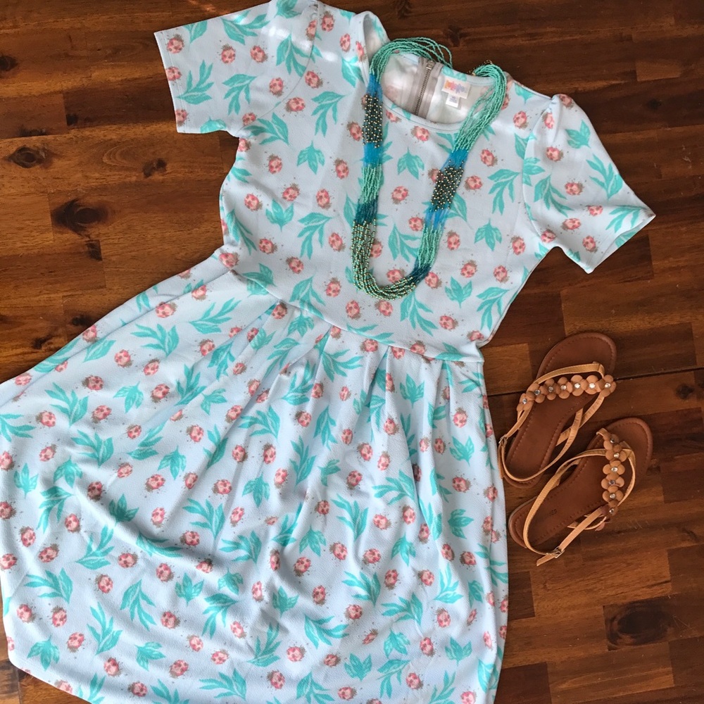 BNWOT LuLaRoe Amelia Dress