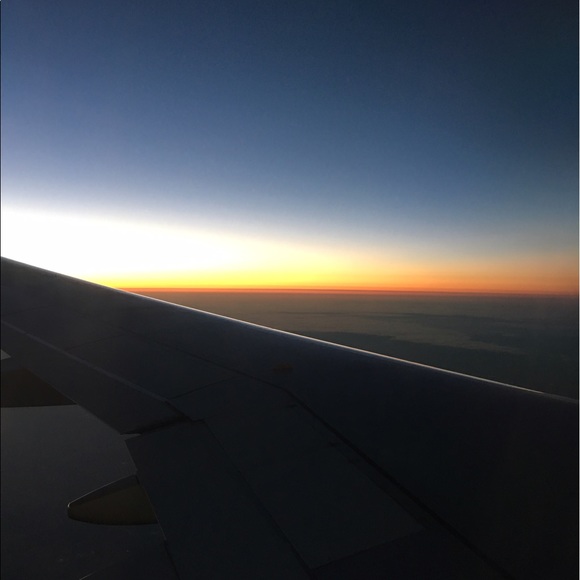 Meet your Posher, Lilly - Picture 1 of 1