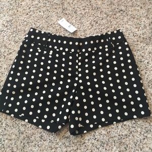 Black and cream polka-dot shorts. NWT.