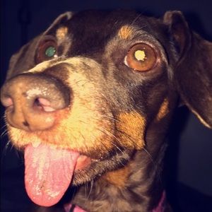 Meet your Posher, Noah