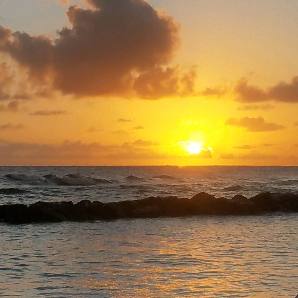 Meet your Posher, Deb