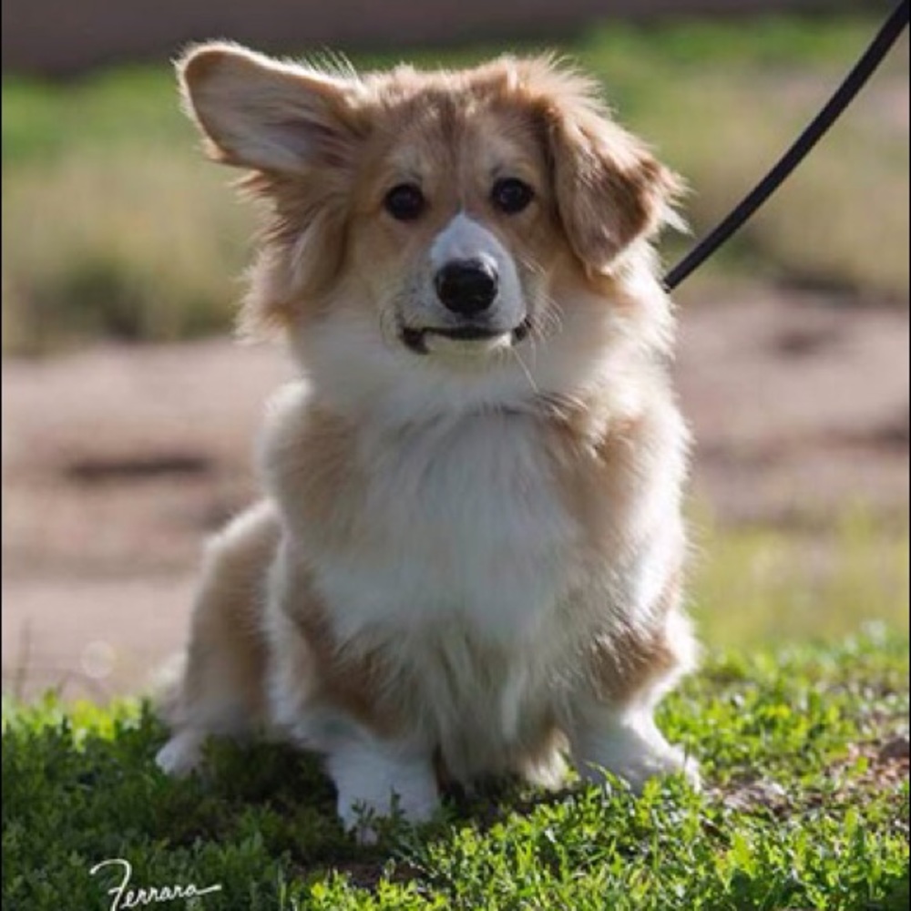 Meet your Posher, Natalie