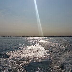 Meet your Posher, Bette