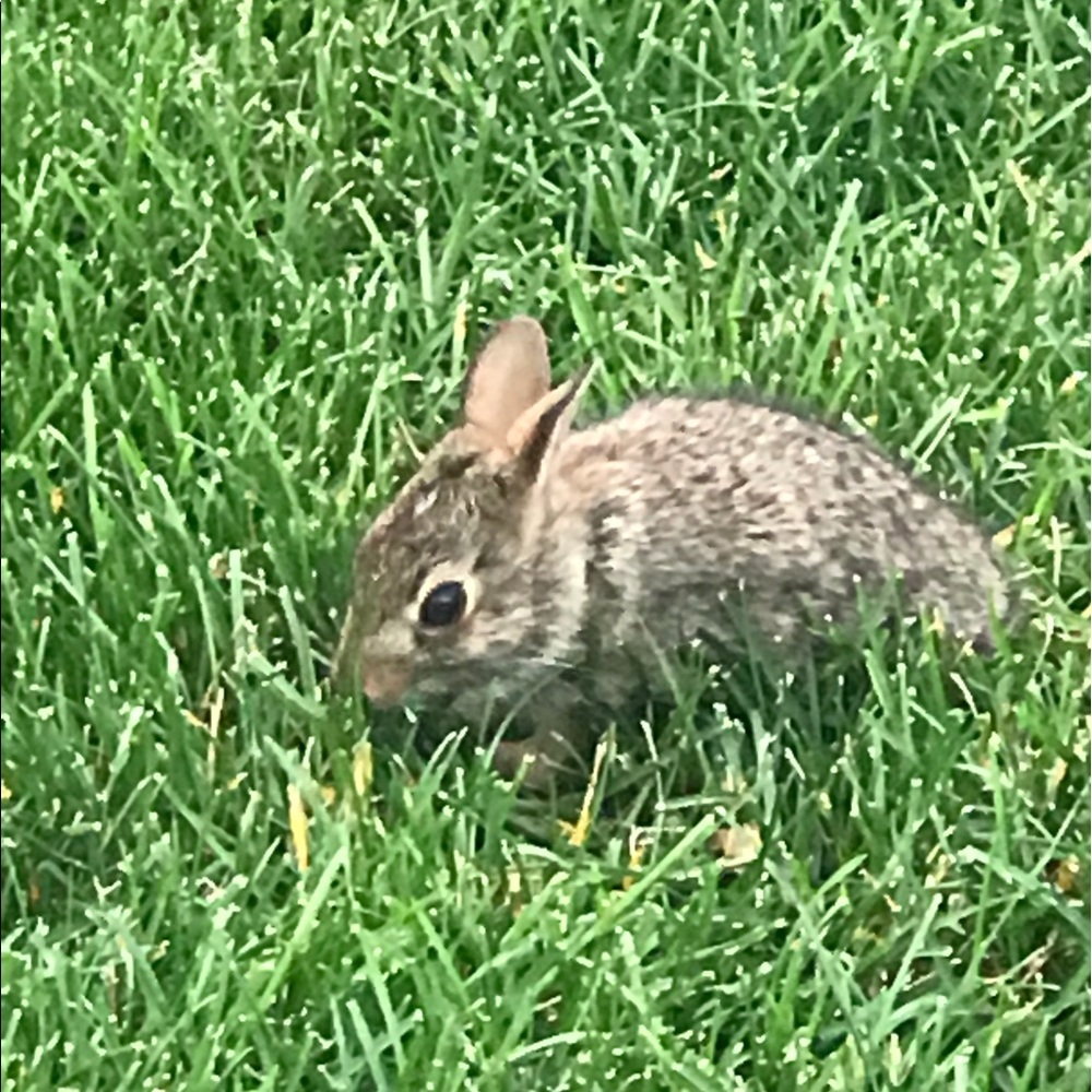 Meet your Posher, Jackue