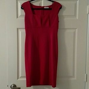 Red Hot Calvin Klein Dress