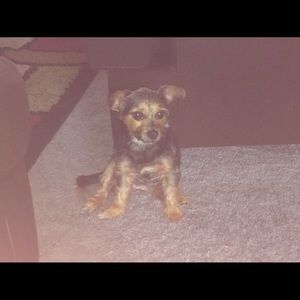 Meet your Posher, Carmela