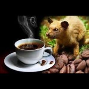 Meet your Posher, Hon