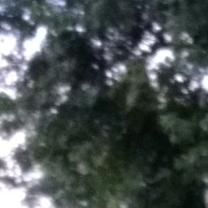 Meet your Posher, Valerie