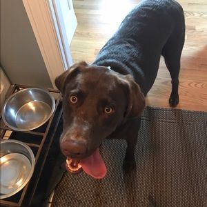 Meet your Posher, Caterina