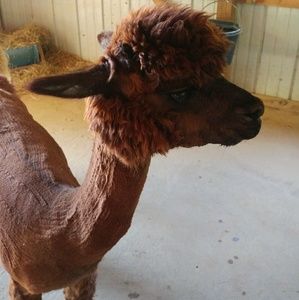 Meet your Posher, Aaron