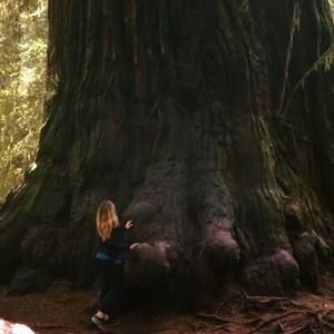 Meet your Posher, Shelly