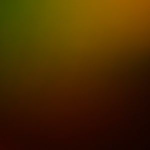 Meet your Posher, Yvette