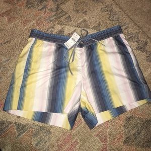 Loft draw strong shorts-NWT
