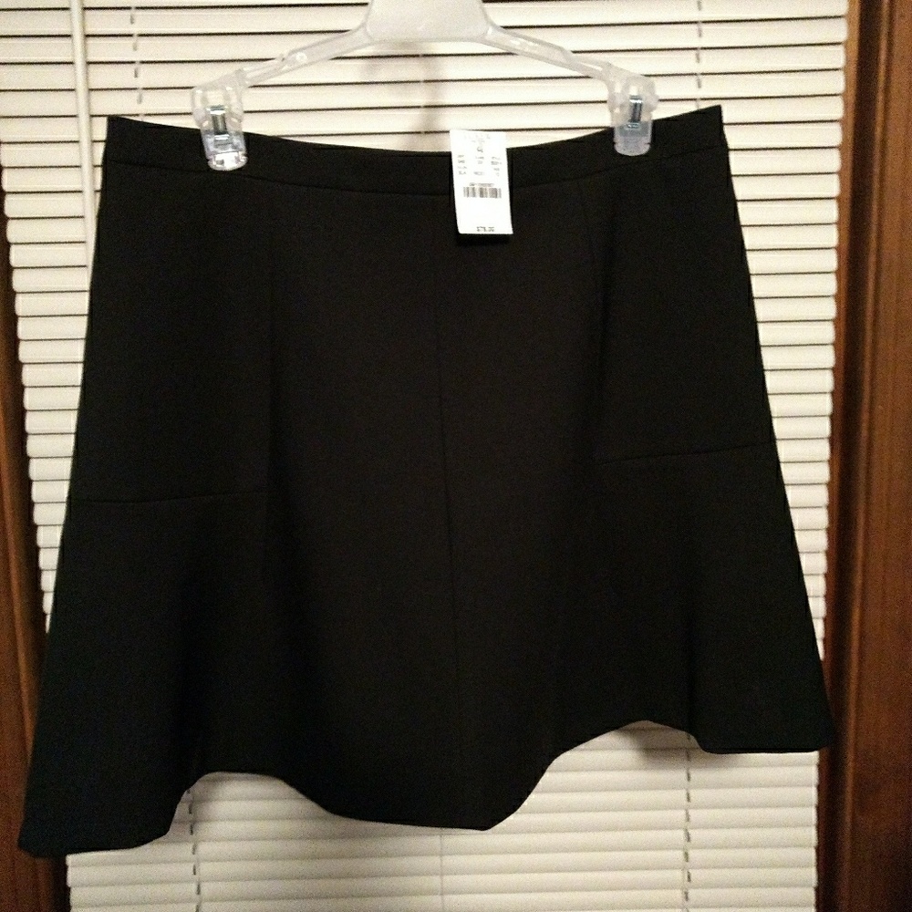 J.Crew Skater Skirt