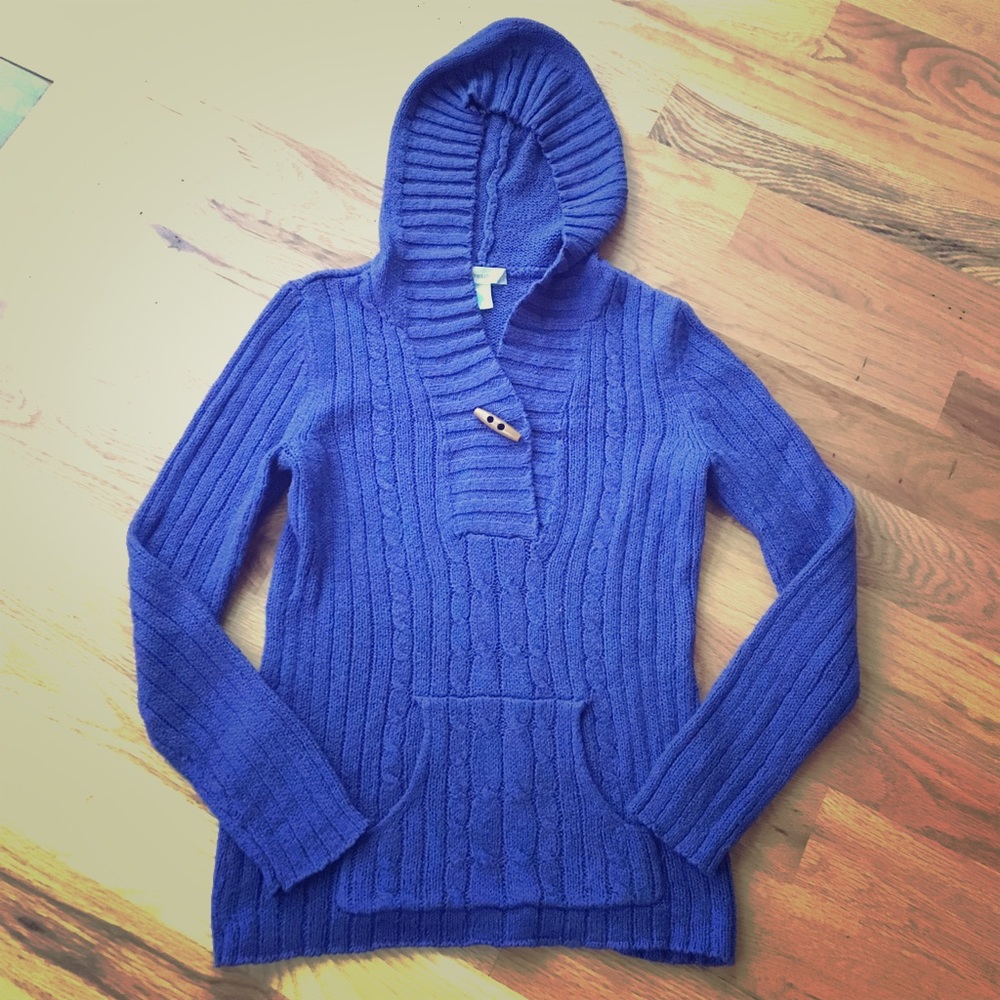 DB Gorgeous Blue Hooded Sweater