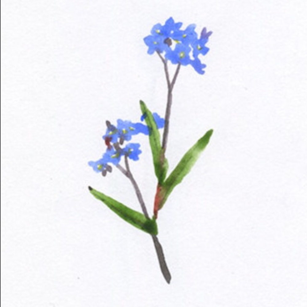 Meet your Posher, Daphne