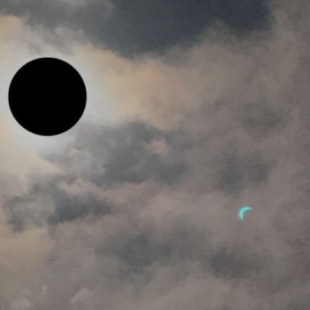 Meet your Posher, Carmelia