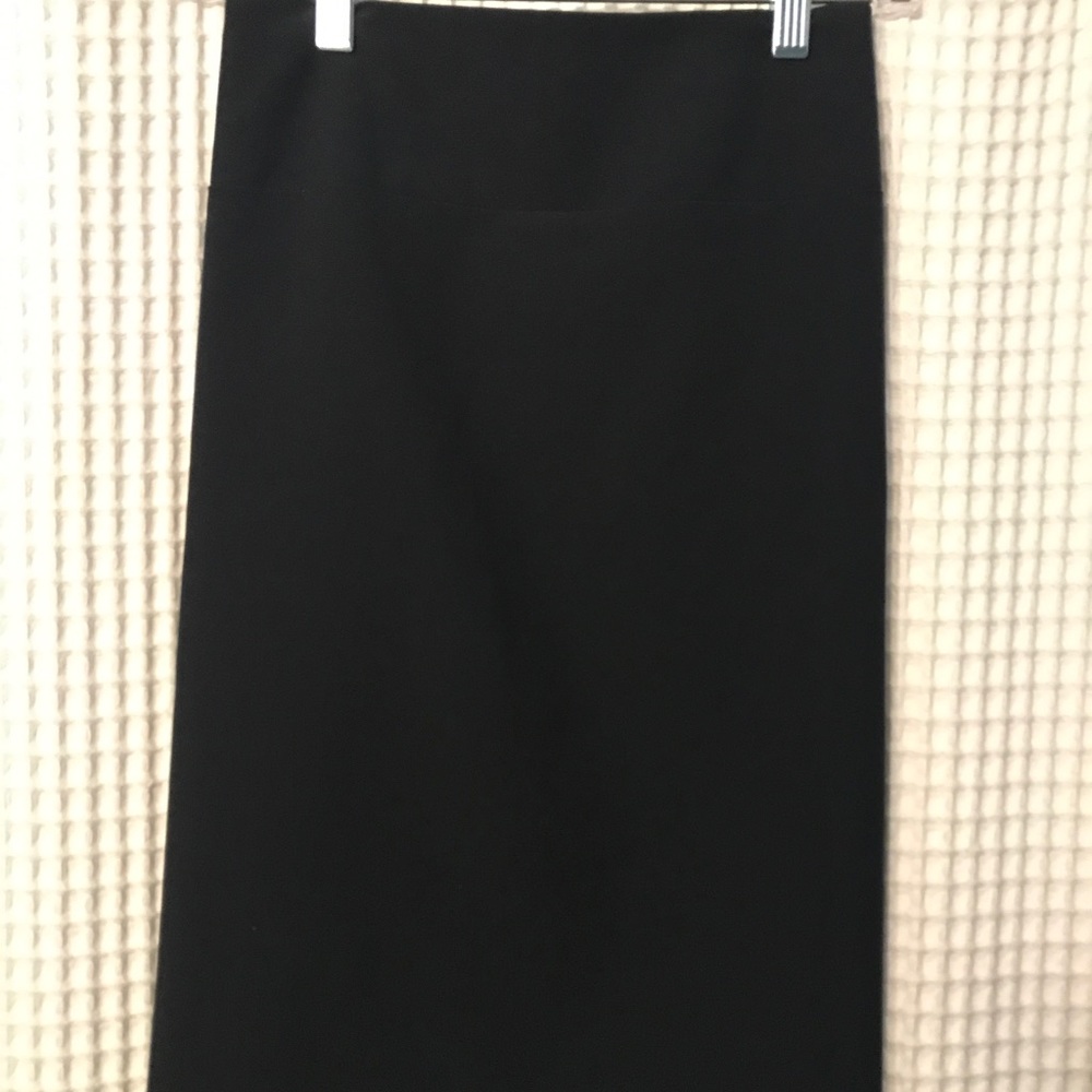 Ellen Tracy Skirt