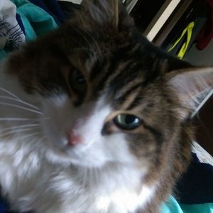 Meet your Posher, Jen