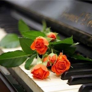 Meet your Posher, Canim