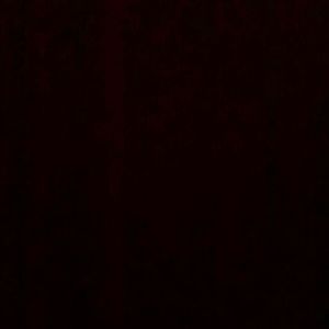 Meet your Posher, Xavier