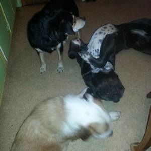 Meet your Posher, Lisa