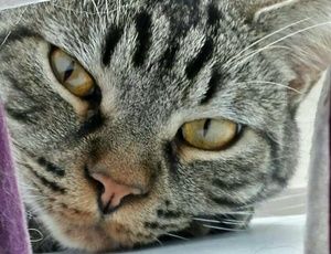 Meet your Posher, Megan