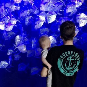 Meet your Posher, Trev