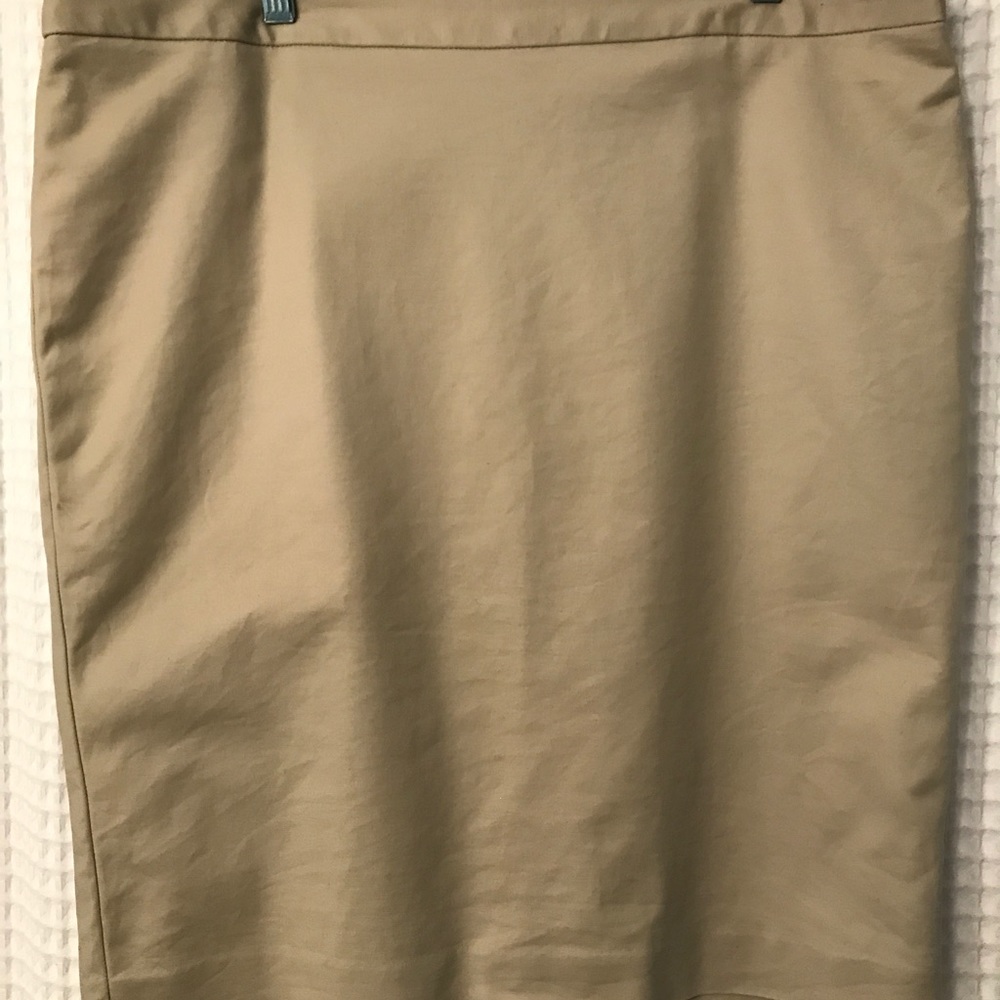 Liz Claiborne Skirt