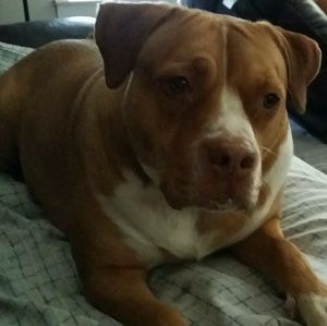 Meet your Posher, Tabatha