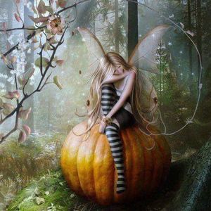 Meet your Posher, Jody