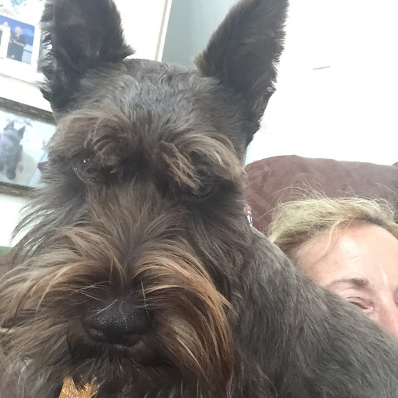 Meet your Posher, Tracey - Picture 1 of 1