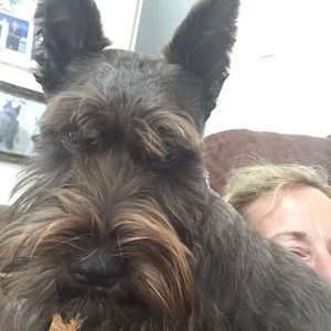 Meet your Posher, Tracey