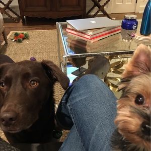 Meet your Posher, Kim