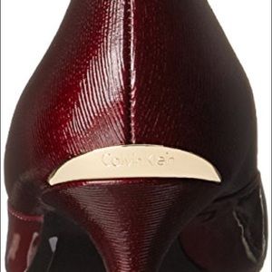 Calvin Klein Patna Pointed Toe Dress Pumps Calvin Klein Patna Pointed Toe Dress Pumps