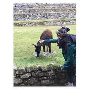 Meet your Posher, Danielle