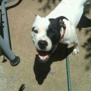 Meet your Posher, Hope