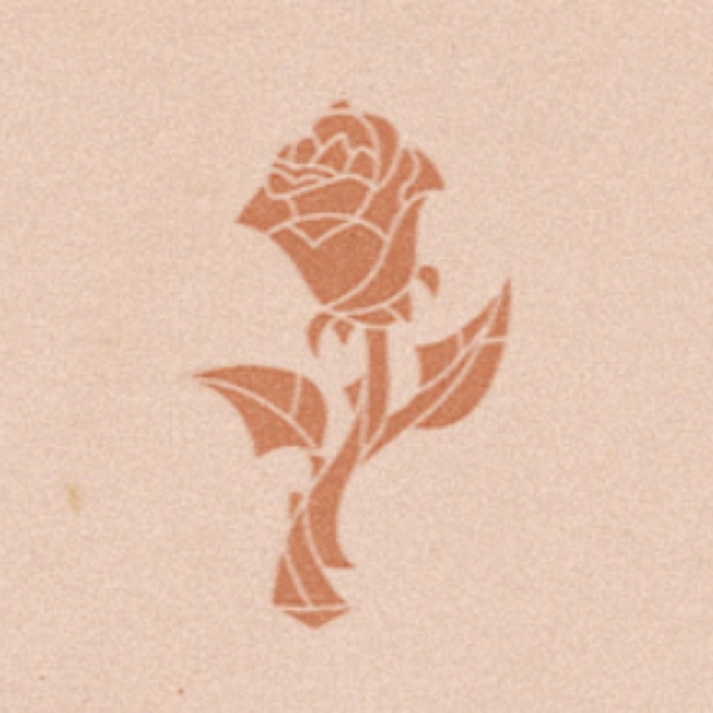 Meet your Posher, Katy