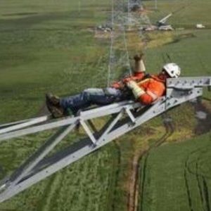 Meet your Posher, Will