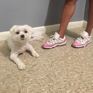 Jordon 11 Pink Snake Skin low - girl size