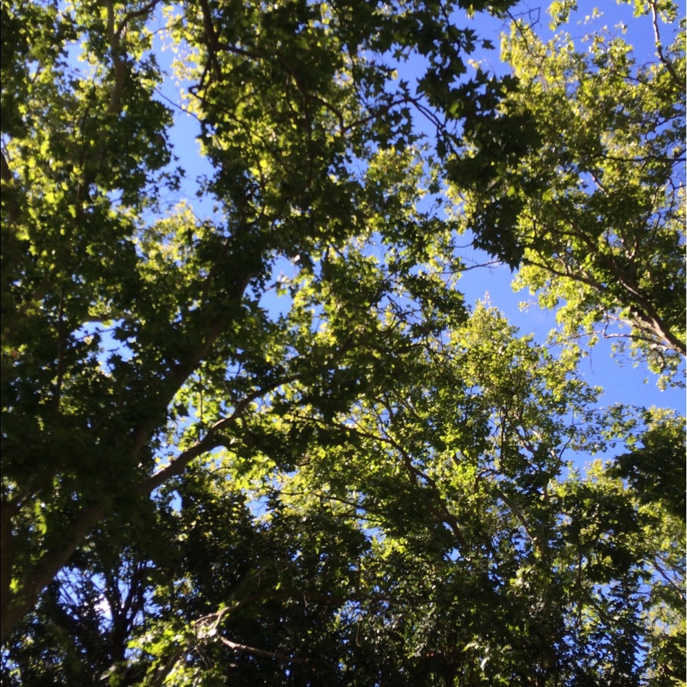 Meet your Posher, Meredith