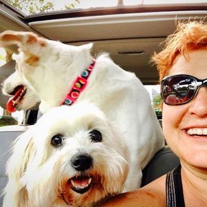 Meet your Posher, Jill