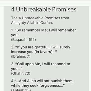 Meet your Posher, Asia