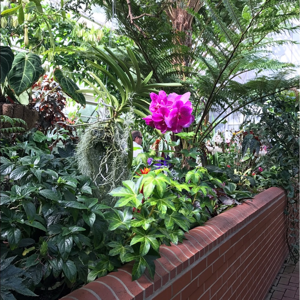 Meet your Posher, Natalie