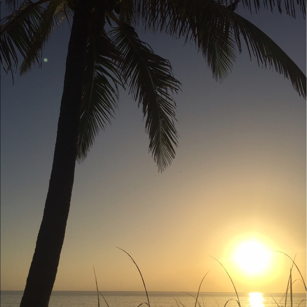 Meet your Posher, Bridget