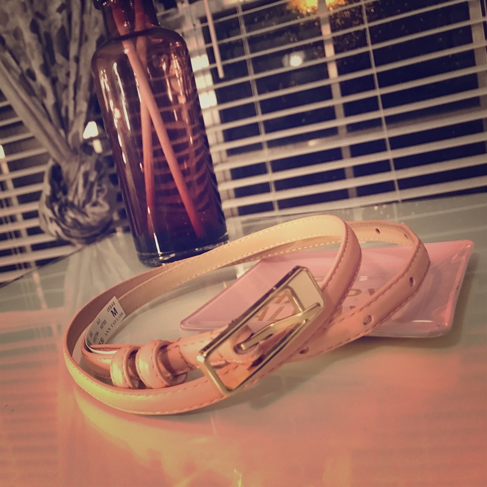 Ann Taylor Light Pink Belt
