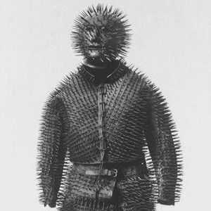 Meet your Posher, Darcy