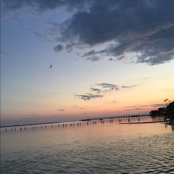 Meet your Posher, Polk - Picture 1 of 1